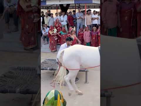 घोडे का नागिन डांस || #viralvideo #horsedance #trenddingvideo #chunnime #ghodadance #nagindance