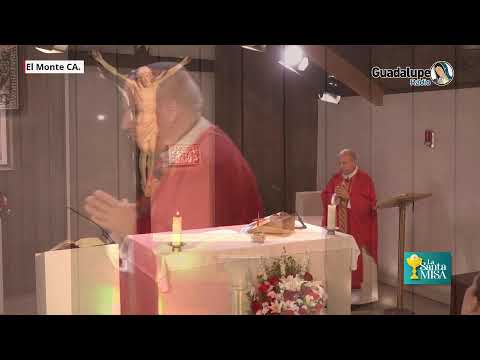 La Santa Misa, 2 de Julio
