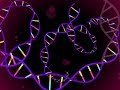 DNA and Genetic Engineering Concepts