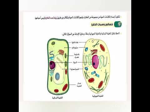 الدرس الاول الخلية ، ستة ابتدائي، من المفهوم الاول الى الرابع ، ترم اول المنهج الجديد