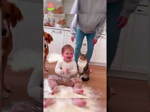 Phillies land All-Star closer Jhoan Duran ahead of MLB trade deadline ๐๐ฅ #JhoanDuran