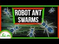 Tribots and Their Applications