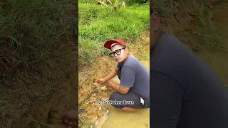Mancing Belut Sama Teman Di Waktu Kecil