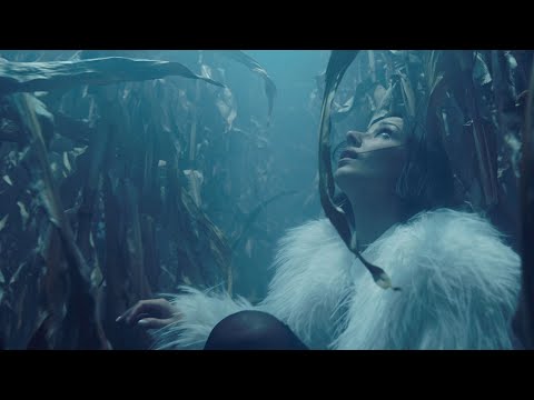 Ania Leon x Kopera - Nie polubię Cię (Official Visualizer)