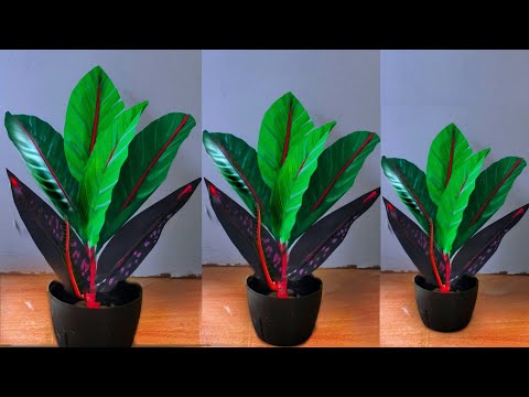 beautiful plant bouquet making with paper / diy home decoration leafs plant make