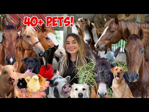 SUMMER MORNING ROUTINE with 40+ PETS!  *CUTE ANIMALS*