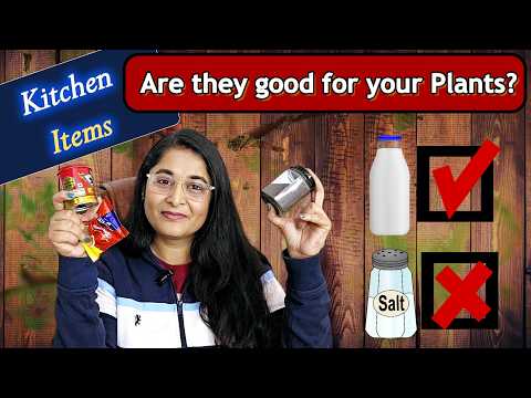 🔴11 KITCHEN Items To Use In GARDENING/ क्या ये kitchen के items वाकई gardening में काम करते है?