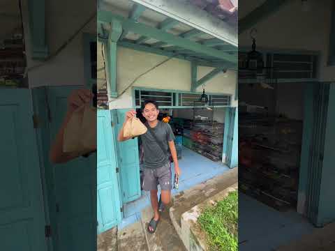 Coba Menjinakan Anakan Burung Jalak Kebo. #animals #hewanpeliharaan #jalak