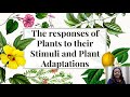 Plant Adaptations and Responses