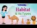 Habitats and Animal Adaptations