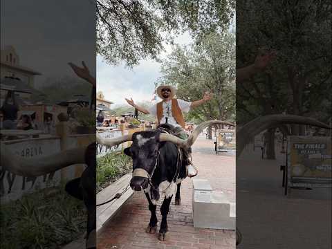 COWBOY 🤠 Dallas, TEXAS 🇺🇸 #diljitdosanjh #2026