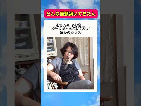 無抵抗なの草#shorts #おすすめ #リス