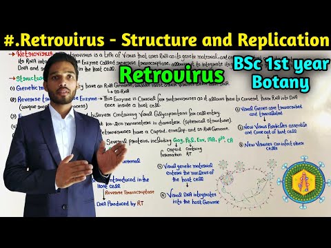 Structure and Replication of Retrovirus || BSc first year Botany 1st Semester