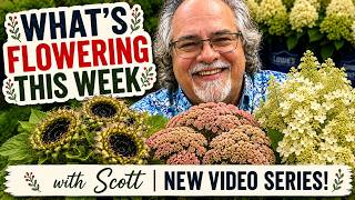 What’s Flowering this week?