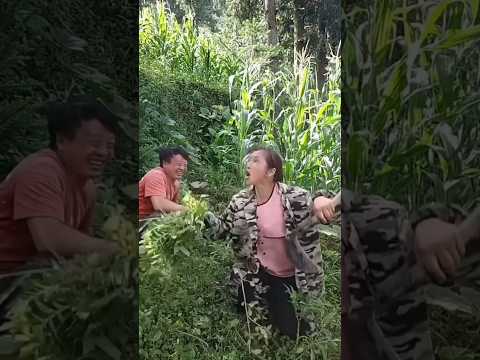 masteran burung viral kocak bikin ngakak hiburan warga +62 fuunyvideos
