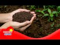 Soil Health and Composition Concepts