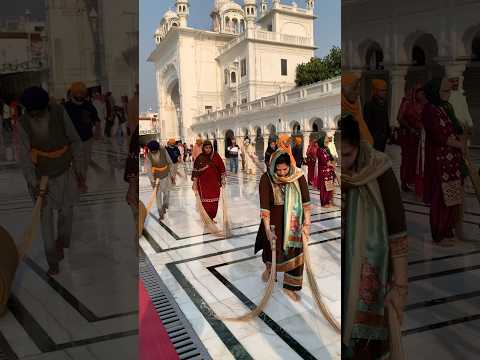 Sri darbar sahib ji live sewa #sewa 14/11/2025 ❤️