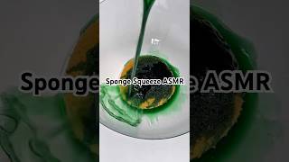 Satisfying Sponge Squeeze ASMR | Ultimate Relaxation & Tingles