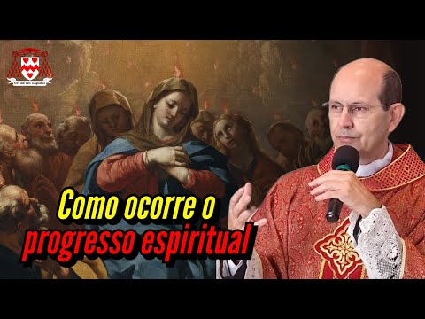 A ação do Espírito Santo e o progresso espiritual — Padre Paulo Ricardo