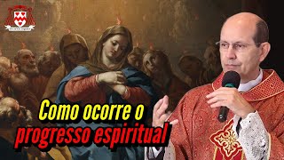 A ação do Espírito Santo e o progresso espiritual — Padre Paulo Ricardo