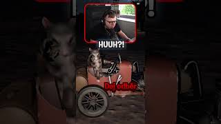 HUUUH?! 🤣🤣