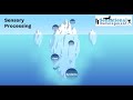 Understanding Sensory Processing Disorders