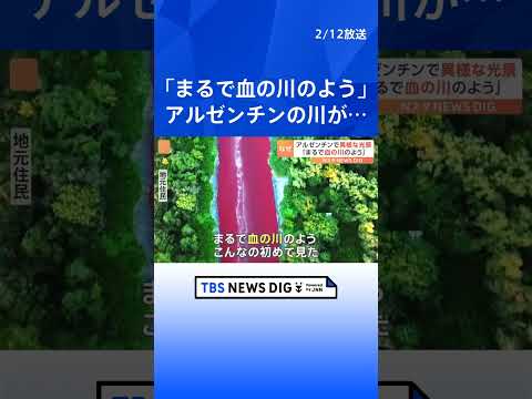 「まるで血の川のよう」アルゼンチンの川が突然真っ赤に　化学廃棄物による汚染の可能性も　住民の間で不安広がる｜TBS NEWS DIG #shorts