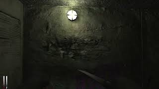 cry of fear - teste do obs