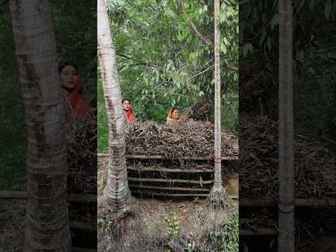 বর্ষার আগে জ্বালানি সংরক্ষণ #village #villagelife #villagevlog