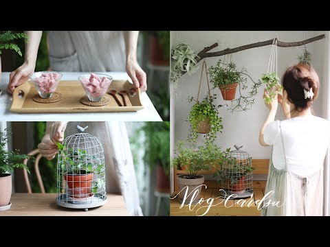 잊혀진 여름을 함께 한 베란다 정원 정리/ 쉽게 만드는 화분 행거/살림 일상/balcony garden diy