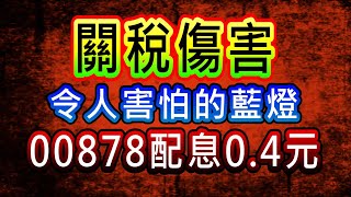 【存股人生-245】關稅傷害！令人害怕的藍燈！00878配息0.4元！【卡哇KAWA】