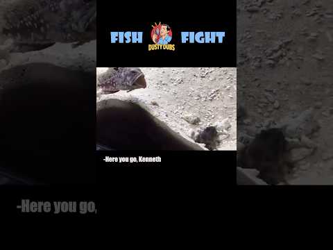 🐟 Fish Fight 🎥: via license with JM #shorts