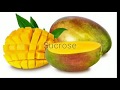 Nutrition and Macronutrients Concepts