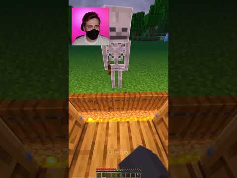 Sun glitch! 747% #minecraft