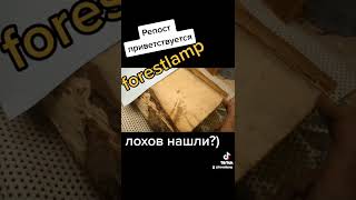 Что такое Потребительский экстремизму)