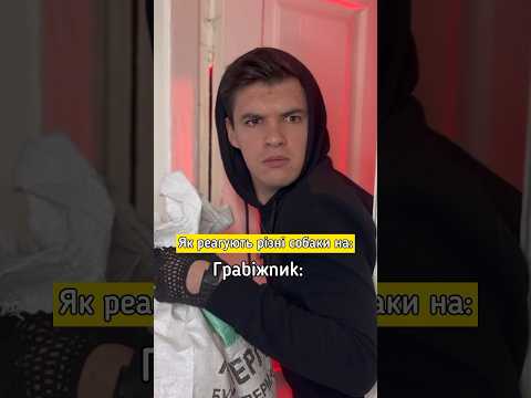 Як реагують різні собаки на граbiжника 😎