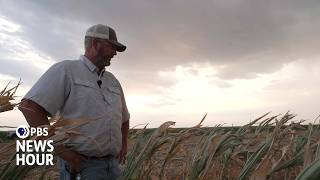 YouTube video thumbnail: What's Making it Harder for American Family Farms to Survive