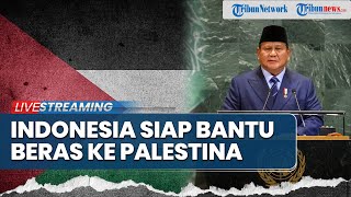 🔴Indonesia Siap Bantu Palestina, Prabowo Umumkan Ekspor Beras di Sidang PBB