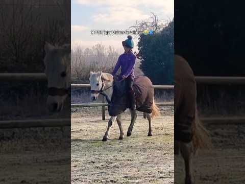 RELATABLE!? ๐คฃ๐ฆโ๏ธ #shorts #horse #equestrian #love #funny