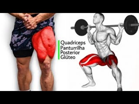 7 Exercícios Para Treinar Pernas - Quadriceps, Posteiror, Glúteo e Panturrilha