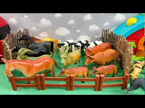 WHITE TRAILER TRANSPORTING FARM ANIMALS / CARRETA BRANCA TRANSPORTANDO OS ANIMAIS DA FAZENDA