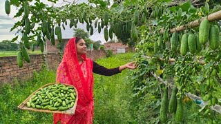 🌧️बरसाती कुंदरु की ऐसी चटपटी सब्जी दाल भात पर बनाई जो बनते ही चट हो गई 