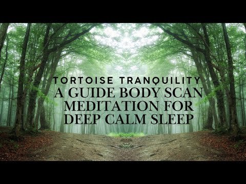 Tortoise Tranquility A guide Body scan meditation for deep calm sleep guided sleep meditation