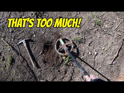 Too Many Finds? Amazing Metal Detecting Experience!