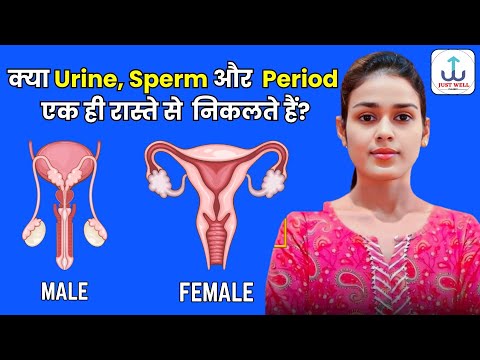 क्या पेशाब, शुक्राणु और मासिक धर्म एक ही तरह से निकलते हैं? | सच जानें | शैक्षिक वीडियो