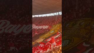 23.05.2026🏆DFB Pokalfinale⚽️ Choreos 🔴FC Bayern - VFB Stuttgart⚪️ 3:0 (Saison 2025/26) Teil 1