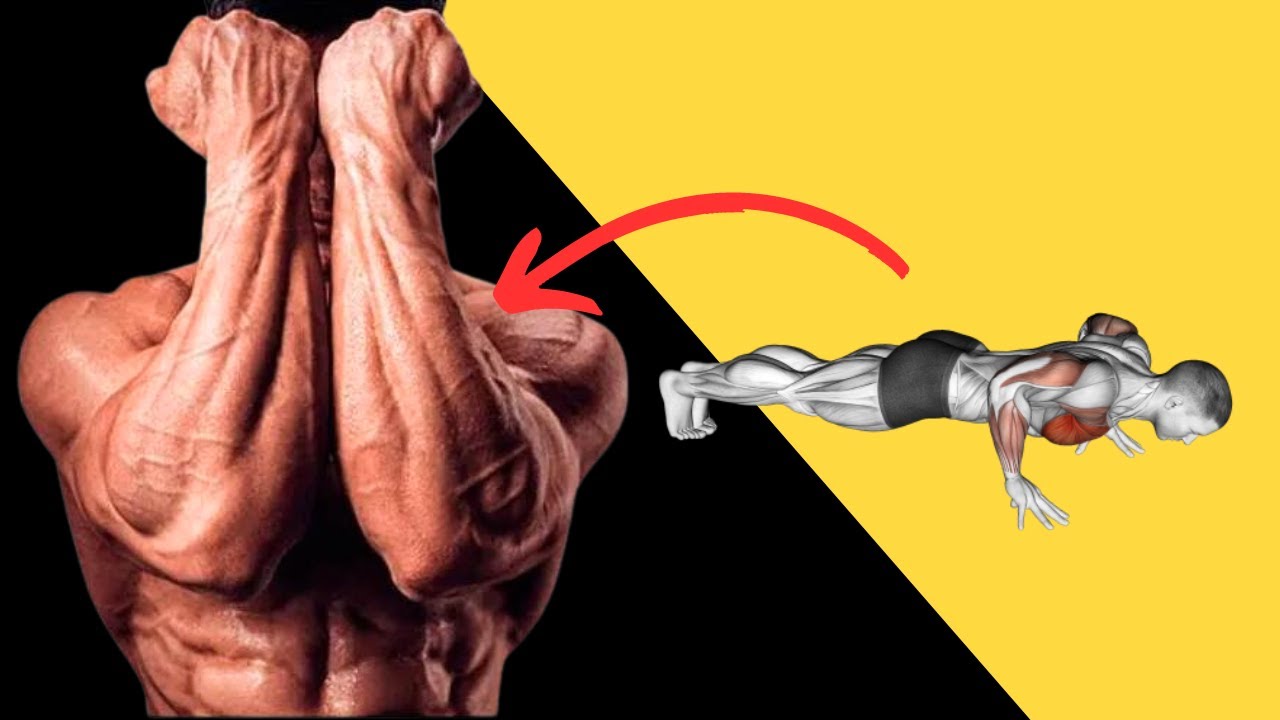 Best Forearm Workout at Home | No Equipment