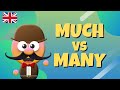 Understanding 'Much' and 'Many' in English