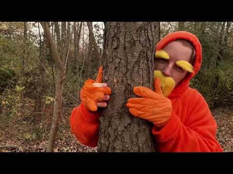 ASMR Lorax | Giving the Trees a Massage