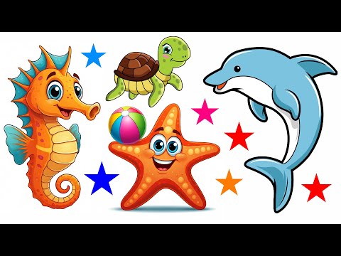 Learn About Ocean Animals! 🐠🌊 Amazing Sea Friends for Kids